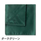 ポケットチーフ ハンカチ メンズ | PlusNao | 詳細画像14 