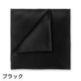 ポケットチーフ ハンカチ メンズ | PlusNao | 詳細画像2 