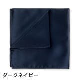 ポケットチーフ ハンカチ メンズ | PlusNao | 詳細画像3 