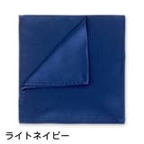 ポケットチーフ ハンカチ メンズ | PlusNao | 詳細画像4 