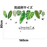 ウォールステッカー 壁紙シール リーフ | PlusNao | 詳細画像6 