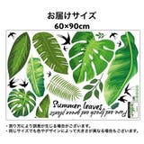 ウォールステッカー 壁紙シール リーフ | PlusNao | 詳細画像7 