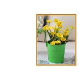 フラワーポット 植木鉢 鉢カバー | PlusNao | 詳細画像7 