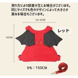 迷子ひも 子供 キッズ | PlusNao | 詳細画像20