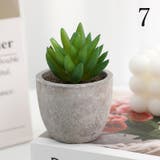 フェイクグリーン 人工観葉植物 多肉植物 | PlusNao | 詳細画像11