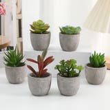 フェイクグリーン 人工観葉植物 多肉植物 | PlusNao | 詳細画像3