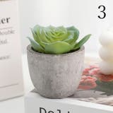 フェイクグリーン 人工観葉植物 多肉植物 | PlusNao | 詳細画像7