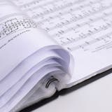 クリアファイル ファイルブック リングファイル | PlusNao | 詳細画像7