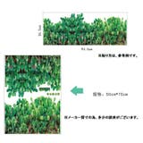 ウォールステッカー 壁シール 壁紙 | PlusNao | 詳細画像5 