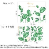 ウォールステッカー 壁紙シール シールタイプ | PlusNao | 詳細画像10