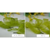 靴ひも 靴紐 シューレース | PlusNao | 詳細画像14 