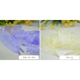 靴ひも 靴紐 シューレース | PlusNao | 詳細画像15 