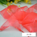 靴ひも 靴紐 シューレース | PlusNao | 詳細画像9 