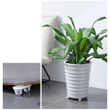 キャスター 取り付け ミニキャスター | PlusNao | 詳細画像8 