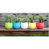 植木鉢 フラワーポット 受け皿付き | PlusNao | 詳細画像8