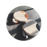 シートクッション チェアパッド 丸 | PlusNao | 詳細画像5