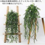 フェイクグリーン 人工観葉植物 造花 | PlusNao | 詳細画像2