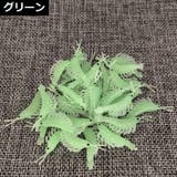 エビワーム 50個セット 3 | PlusNao | 詳細画像3