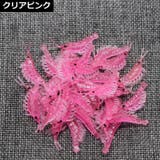 エビワーム 50個セット 3 | PlusNao | 詳細画像5