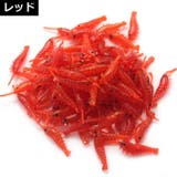 エビワーム 50個セット 3 | PlusNao | 詳細画像7
