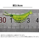 エビワーム 50個セット 3 | PlusNao | 詳細画像9
