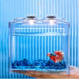 LEDライト 2個セット ブロック水槽用 | PlusNao | 詳細画像2
