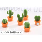 マグネット 磁石 6個セット | PlusNao | 詳細画像5