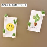 マグネット 磁石 6個セット | PlusNao | 詳細画像6