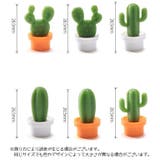 マグネット 磁石 6個セット | PlusNao | 詳細画像8