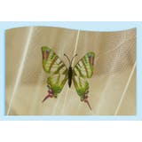 天蓋カーテン モスキートネット ベッド蚊帳 | PlusNao | 詳細画像13 