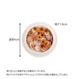 ネイルパーツ 50ピースセット ケース付き | PlusNao | 詳細画像20 