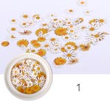 ネイルパーツ 50ピースセット ケース付き | PlusNao | 詳細画像4 