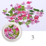 ネイルパーツ 50ピースセット ケース付き | PlusNao | 詳細画像6 