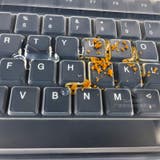 デスクトップ用キーボードカバー 保護カバー 汚れ防止 | PlusNao | 詳細画像3