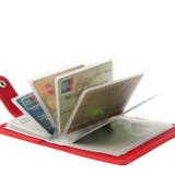 カードケース 26枚収納 30枚収納 | PlusNao | 詳細画像4