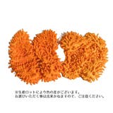 モップスリッパ シューズ型 掃除用具 | PlusNao | 詳細画像6 