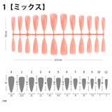 ネイルチップ 付け爪 240枚セット | PlusNao | 詳細画像15