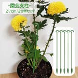 園芸支柱 20本組セット 27cm | PlusNao | 詳細画像1