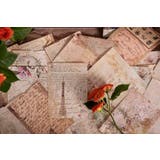 デザインペーパー ペーパークラフト用紙 100枚入 | PlusNao | 詳細画像10