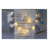 イルミネーションライト ガーランドライト デコレーションライト | PlusNao | 詳細画像4