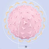 ストレッチボール ツボ押し 筋膜リリース | PlusNao | 詳細画像7