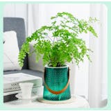 プランターカバー 植木鉢カバー フラワーポット | PlusNao | 詳細画像5 