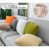 クッションカバー カバーのみ 45cm角 | PlusNao | 詳細画像3