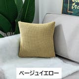 クッションカバー カバーのみ 45cm角 | PlusNao | 詳細画像9