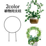 植物支柱 園芸用支柱 ガーデニング用具 | PlusNao | 詳細画像1
