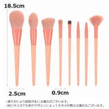 メイクブラシ 8本セット 収納ケース付き | PlusNao | 詳細画像20