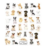 ネイルシール ネイルアート 犬 | PlusNao | 詳細画像8