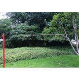 タープ延長ベルト カラビナ2個付属 小川張り | PlusNao | 詳細画像7