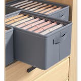 衣類収納ケース 衣類収納ボックス 仕切りケース | PlusNao | 詳細画像3