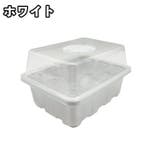 育苗ポット 5箱セット 12穴 | PlusNao | 詳細画像4 